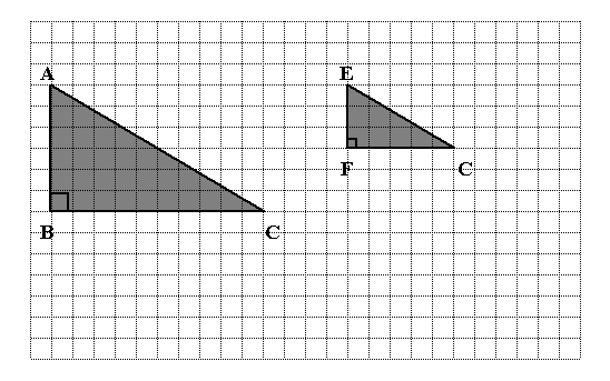 mc014-1.jpg